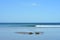 Flat sandy ocean shore at low tide