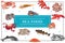 Flat Seafood Colorful Concept