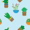 Flat seamless pattern with succulent plants and cacti in pots