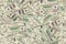 Flat seamless texture and background of real one hundred us dollar banknotes