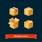 Flat style boxes isometric icons