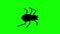 Flat style Halloween beetle walking against a green background. Seamless loop