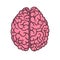 Flat style human brain illustration
