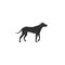 Flat style icon of rhodesian ridgeback. Cute hunting dog. Simple silhouette pictogram for different design