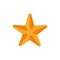 Flat textured starfish, star fish icon, symbol