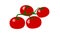 Flat tomato branch isolated on white background.Tomato icon