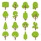 Flat tree. Forest trees, nature hardwood plants with green foliage. Ecology label, environment and botanical concept