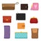 Flat vectoe set of stylish wallets. Pocket-sized holder for money and plastic cards. Small women bag to carry everyday