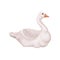 Flat vector design of beautiful goose, side view. Bird with white feathers, long neck and orange beak. Poultry farming