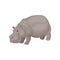 Flat vector design of gray adult hippo. Large African animal. Wild creature. Fauna theme