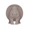 Flat vector design of large gray hippo, front view. African mammal creature. Animal of Safari park