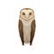 Flat vector icon of barn owl. Nocturnal bird with brown feathers and hooked beak. Wild flying creature. Fauna theme