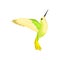 Flat vector icon of beautiful colibri with bright green-yellow plumage. Tropical hummingbird with long thin beak