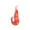 Flat vector icon of big pink shrimp. Marine product. Delicious boiled prawn. Gourmet seafood