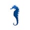 Flat vector icon of blue seahorse. Exotic marine creature. Small sea animal. Underwater life theme