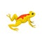 Flat vector icon of bright yellow frog with orange spot on back. Small amphibian with black eye, squat body and long