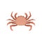 Flat vector icon of crab with claws. Marine animal with five pairs of legs. Element for advertising poster or product