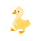 Flat vector icon of cute young duck. Farm bird with yellow feathers, orange beak and legs. Poultry farming