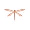 Flat vector icon of dragonfly with two pairs of transparent wings. Beautiful fragile creature. Small flying insect.