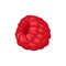 Flat vector icon of fresh red raspberry. Delicious summer berry. Juicy fruit. Natural and healthy food. Organic product