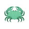 Flat vector icon of green crab. Marine creature with big claws. Sea animal. Element for print, children book or mobile