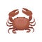 Flat vector icon of red crab. Marine creature with big claws. Seafood theme. Element for advertising poster, flyer or