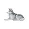 Flat vector icon of Siberian husky lying isolated on white background. Dog with fluffy gray coat. Home pet. Domestic