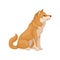 Flat vector icon of sitting Shiba Inu, side view. Adorable dog with red-beige coat. Home pet. Domestic animal
