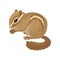Flat vector icon of small brown chipmunk. Small mammal animal. Rodent with cheek pouches and light and dark stripes