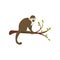 Flat vector icon of small monkey sitting on tree branch with green leaves. Wild animal from tropical forest