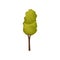 Flat vector icon of small young tree with thin trunk and bright green leaves. Element of autumn or summer forest