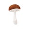 Flat vector icon of suillus luteus. Small edible mushroom with brown cap and white stalk. Organic food