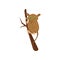 Flat vector icon of tarsier sitting on tree branch. Small brown primate with large green eyes, long tail and long hind
