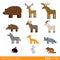 Flat vector icon wild farm domestic animal cartoon