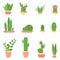 Flat vector illustration of cacti and succulents in pots.