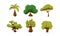 Flat vector set of 6 green trees. Objects of tropical forests. Natural landscape elements for mobile or computer game