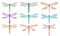 Flat vector set of beautiful dragonflies. Small flying insects with fragile wings