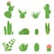 Flat vector set of cacti and succulents. Cartoon illustration of cactus