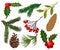 Flat vector set of Christmas plants. Holiday symbols. Holly berries, pine or fir cones, branch of mistletoe and