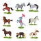 Flat vector set of different horses. Hoofed mammal animal. Wildlife and fauna theme. Elements for children book