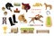 Flat vector set of equestrianism sport objects. Man, horse, wooden barn and fence, rider s equipment, trophy, stack of
