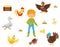 Flat vector set of farm birds, chicken nest and girl with bowl of grain. Domestic fowl. Agriculture theme