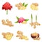 Flat vector set of ginger icons. Fresh roots with slices, flowers and powder. Aromatic spice. Natural food