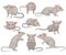 Flat vector set of mouse in different poses. Small rodent with gray coat, big pink ears and long tail. Cute domestic