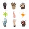 Flat vector set of paws of various animals: dog, bear, cat, frog, monkey, chicken leg, horse hoof and tentacle of