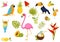 Flat vector set of tropical elements. Beautiful birds, tasty cocktails and fruits, ice-cream, flowers and leaves of palm