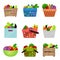 Flat vector set of wooden boxes, bowl, containers, shopping and picnic baskets with fresh vegetables. Natural and