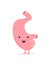 Flat vector stomach isolated on background