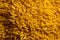 Flat view of wheat berries in yellow hue, touched by sliminess