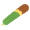 Flat Whole Rotten Cucumber Icon